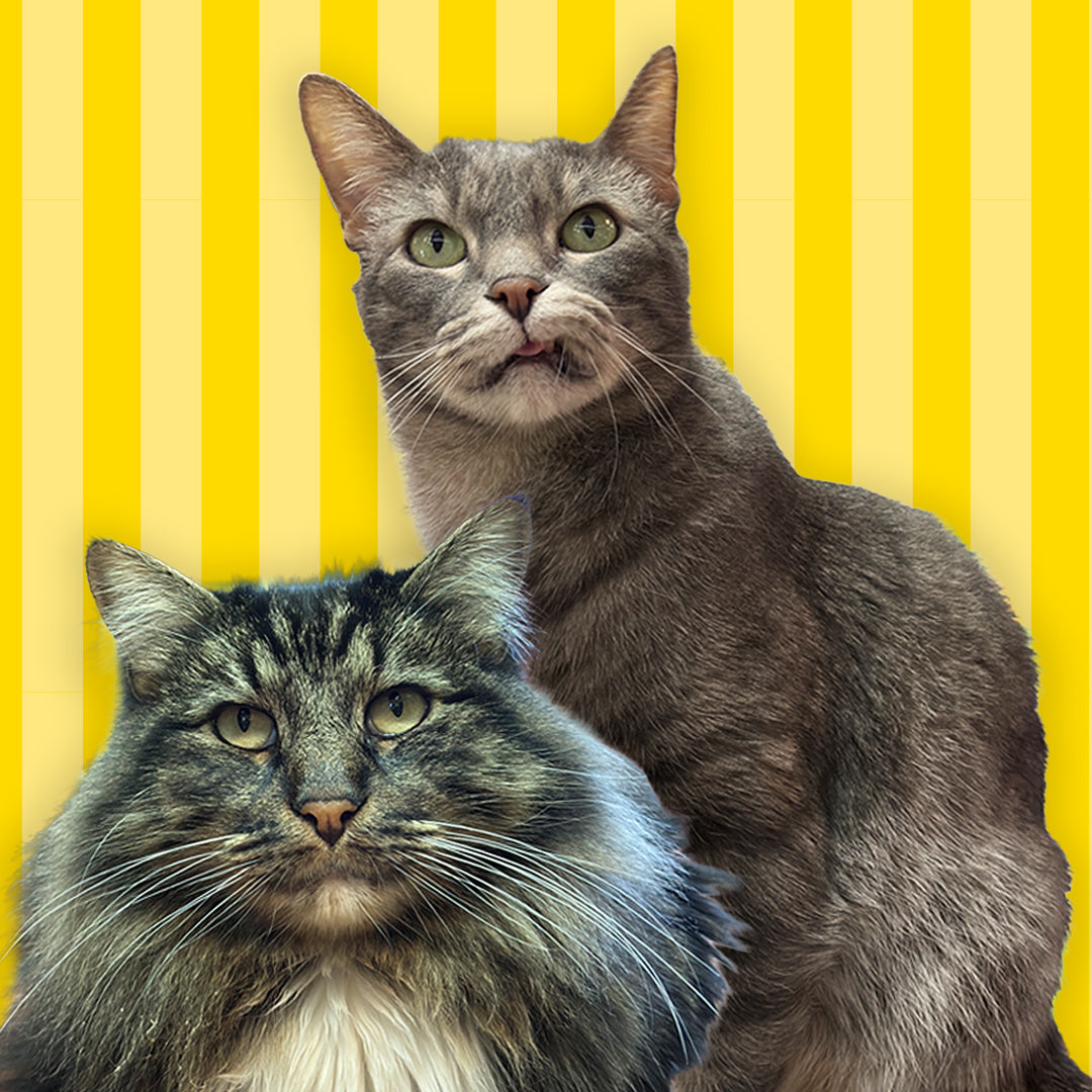 Franklin & Nigel